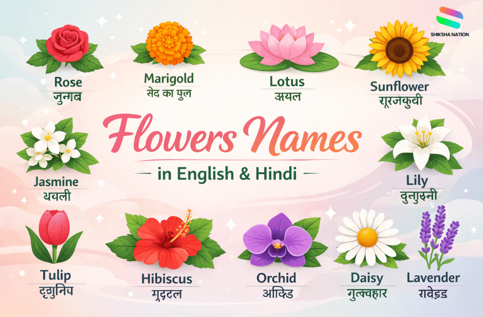 100 Flowers Name in English & Hindi with Pictures for Students