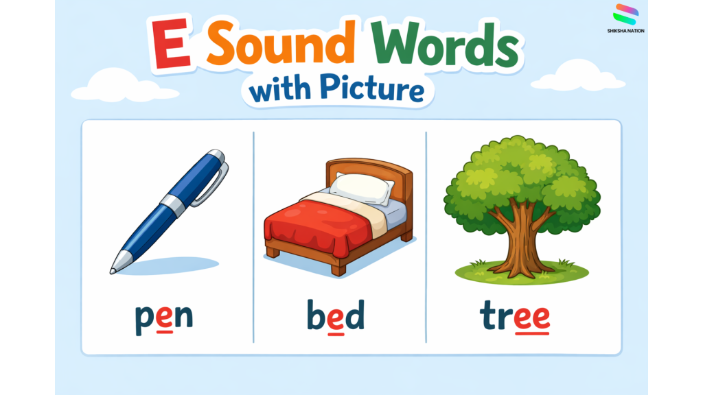 Illustration showing e sound words with pictures of a pen, bed, and tree for phonics learning