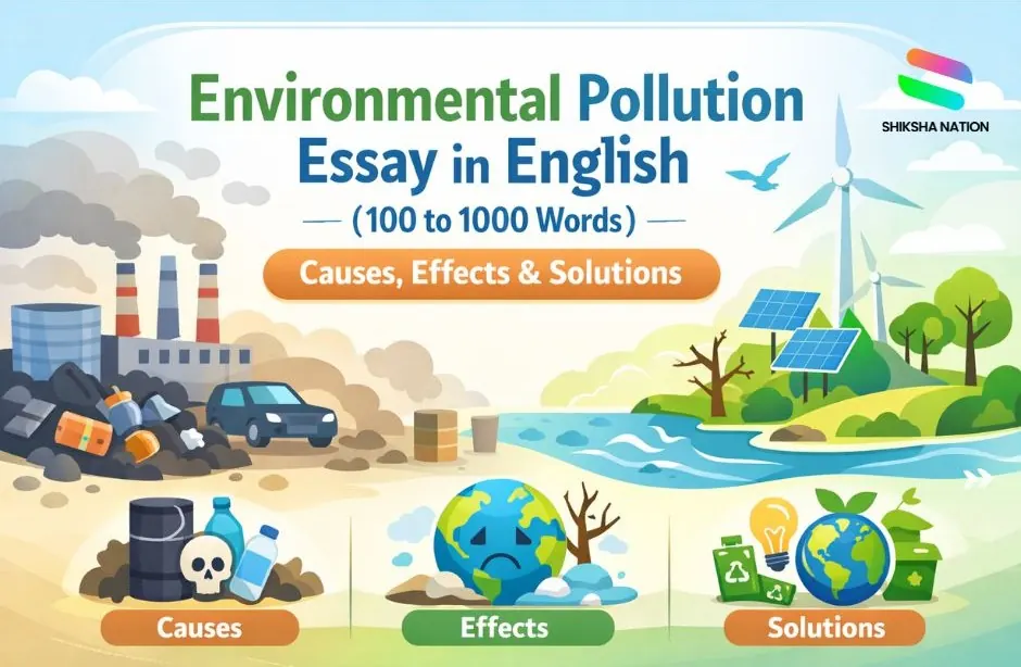 Environmental Pollution Essay 