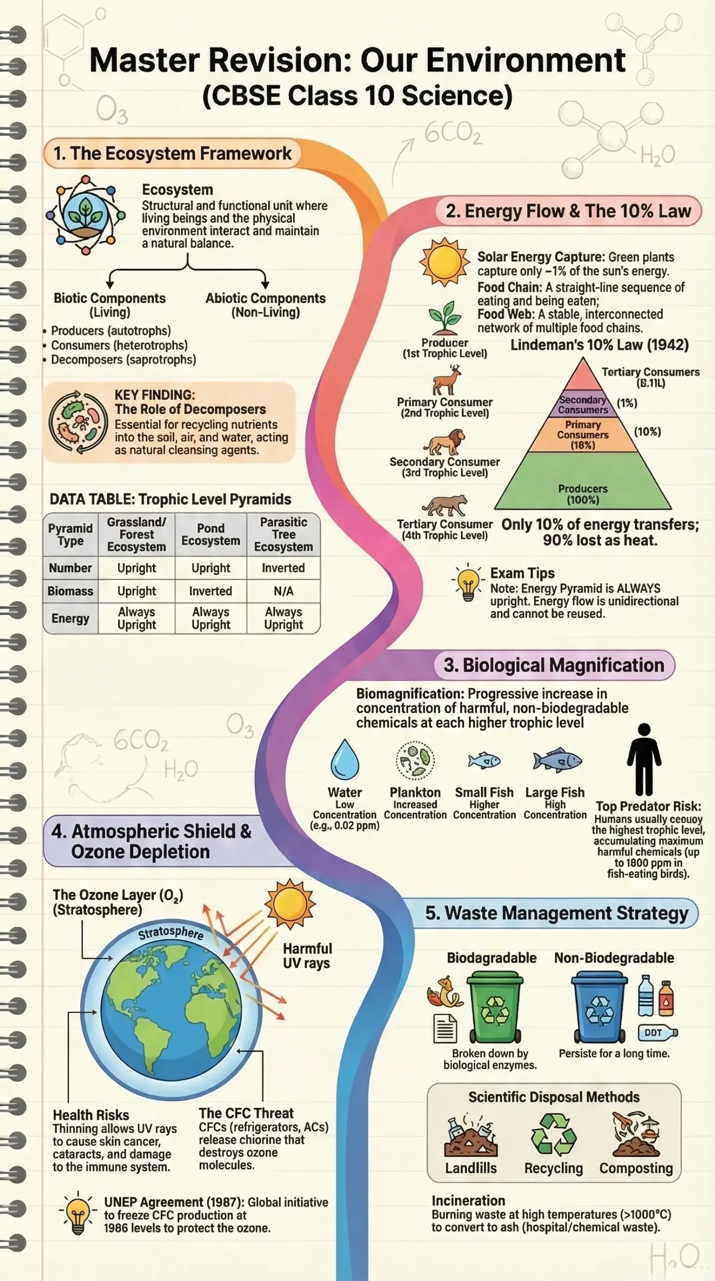CBSE Class 10 Biology Our Environment Chapter 13 Revision Notes